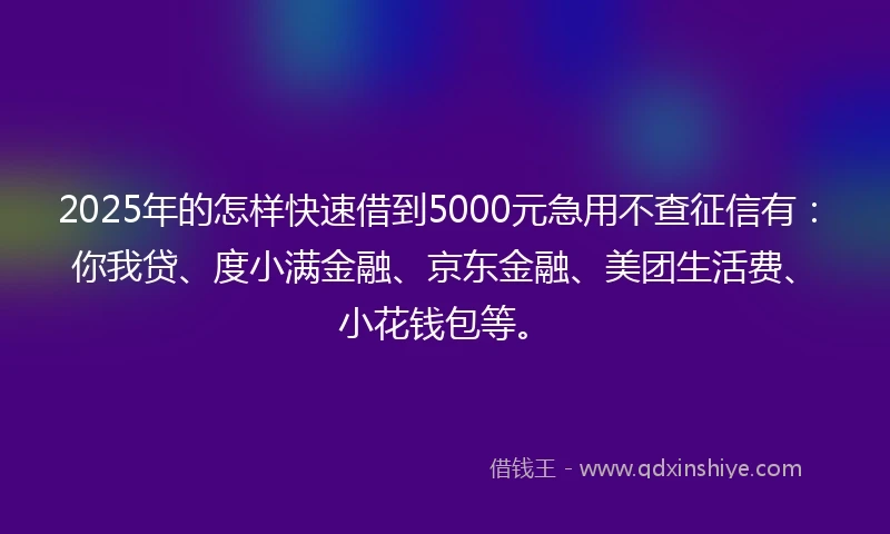 2025年的怎样快速借到5000元急用不查征信有：你我贷、度小满金融、京东金融、美团生活费、小花钱包等。