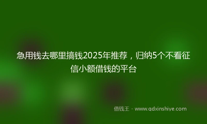 急用钱去哪里搞钱2025年推荐，归纳5个不看征信小额借钱的平台