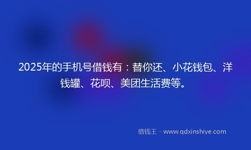 2025年的手机号借钱有：替你还、小花钱包、洋钱罐、花呗、美团生活费等。