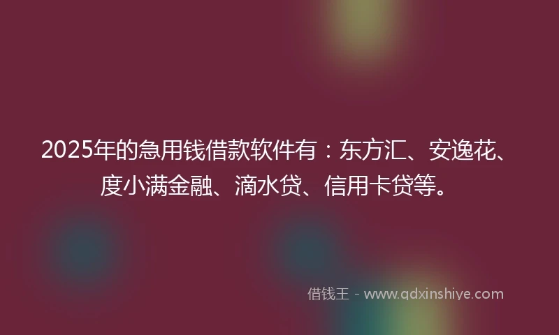 2025年的急用钱借款软件有：东方汇、安逸花、度小满金融、滴水贷、信用卡贷等。