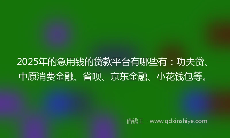 2025年的急用钱的贷款平台有哪些有：功夫贷、中原消费金融、省呗、京东金融、小花钱包等。