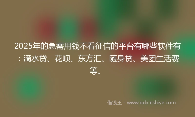 2025年的急需用钱不看征信的平台有哪些软件有：滴水贷、花呗、东方汇、随身贷、美团生活费等。