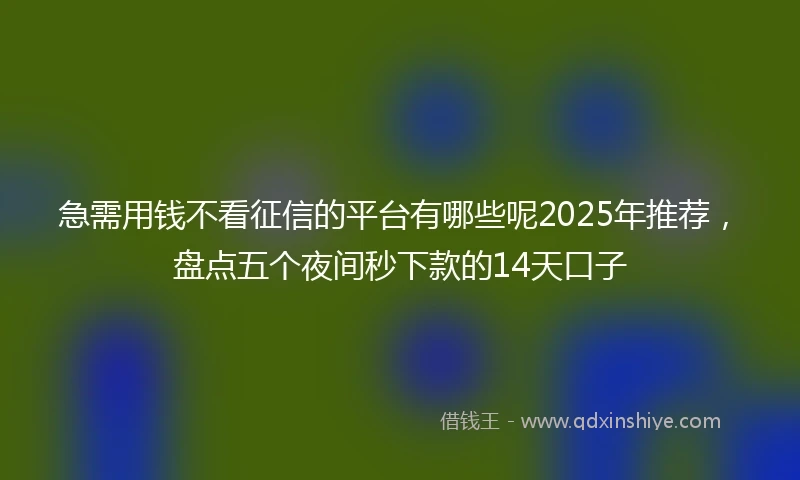 急需用钱不看征信的平台有哪些呢2025年推荐，盘点五个夜间秒下款的14天口子