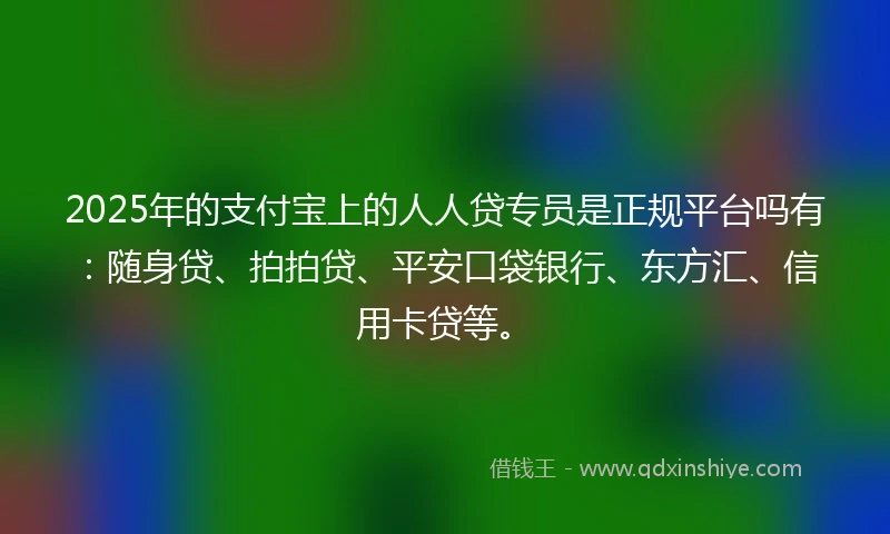 2025年的支付宝上的人人贷专员是正规平台吗有：随身贷、拍拍贷、平安口袋银行、东方汇、信用卡贷等。