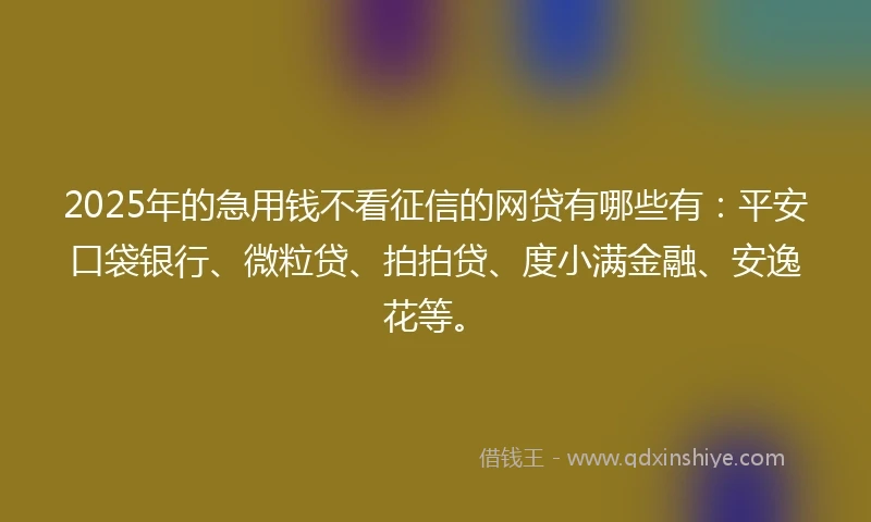 2025年的急用钱不看征信的网贷有哪些有：平安口袋银行、微粒贷、拍拍贷、度小满金融、安逸花等。