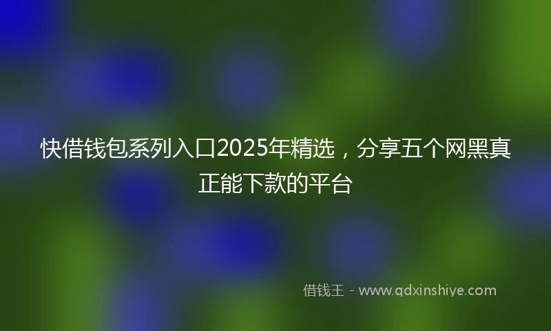 快借钱包系列入口2025年精选，分享五个网黑真正能下款的平台