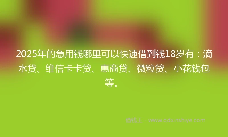 2025年的急用钱哪里可以快速借到钱18岁有：滴水贷、维信卡卡贷、惠商贷、微粒贷、小花钱包等。