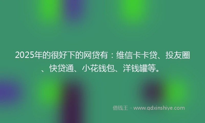 2025年的很好下的网贷有：维信卡卡贷、投友圈、快贷通、小花钱包、洋钱罐等。