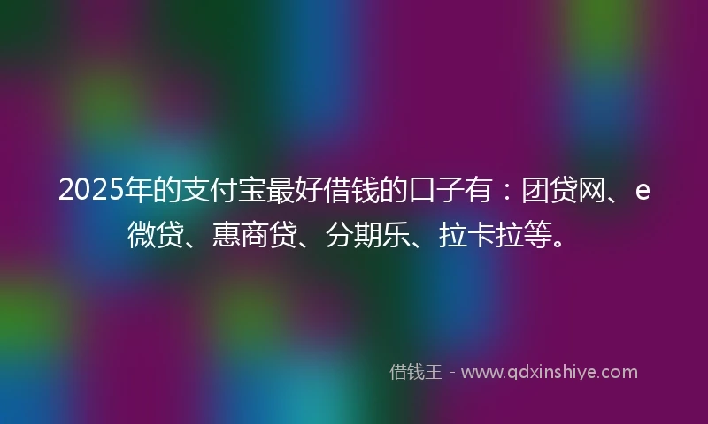 2025年的支付宝最好借钱的口子有：团贷网、e微贷、惠商贷、分期乐、拉卡拉等。