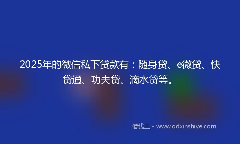 2025年的微信私下贷款有：随身贷、e微贷、快贷通、功夫贷、滴水贷等。