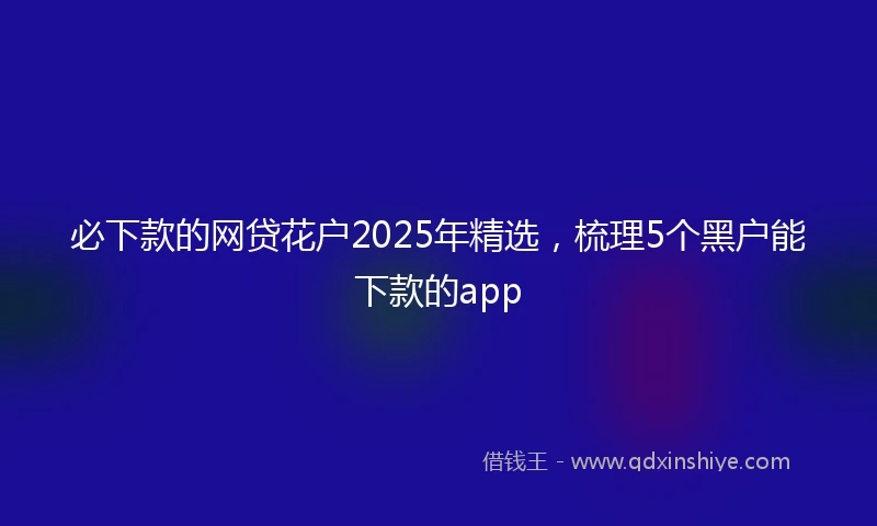 必下款的网贷花户2025年精选，梳理5个黑户能下款的app