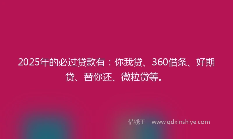 2025年的必过贷款有：你我贷、360借条、好期贷、替你还、微粒贷等。