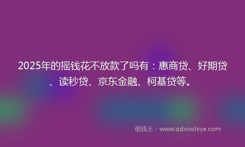 2025年的摇钱花不放款了吗有：惠商贷、好期贷、读秒贷、京东金融、柯基贷等。