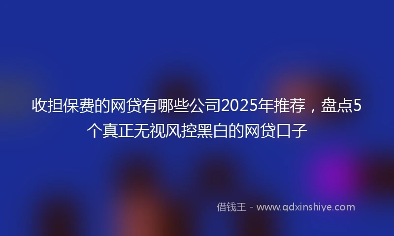收担保费的网贷有哪些公司2025年推荐，盘点5个真正无视风控黑白的网贷口子