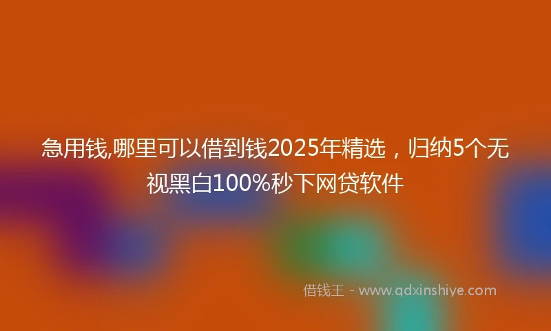 急用钱,哪里可以借到钱2025年精选，归纳5个无视黑白100%秒下网贷软件