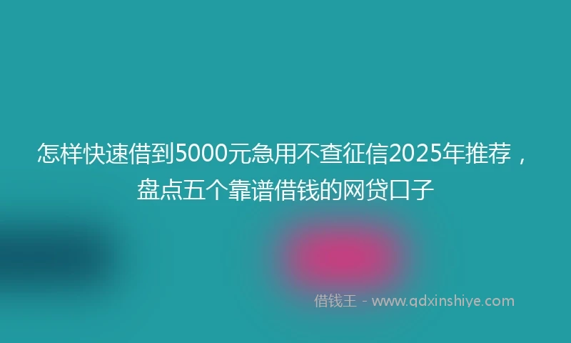 怎样快速借到5000元急用不查征信2025年推荐，盘点五个靠谱借钱的网贷口子