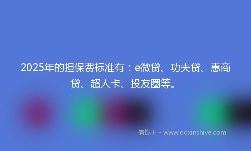 2025年的担保费标准有：e微贷、功夫贷、惠商贷、超人卡、投友圈等。