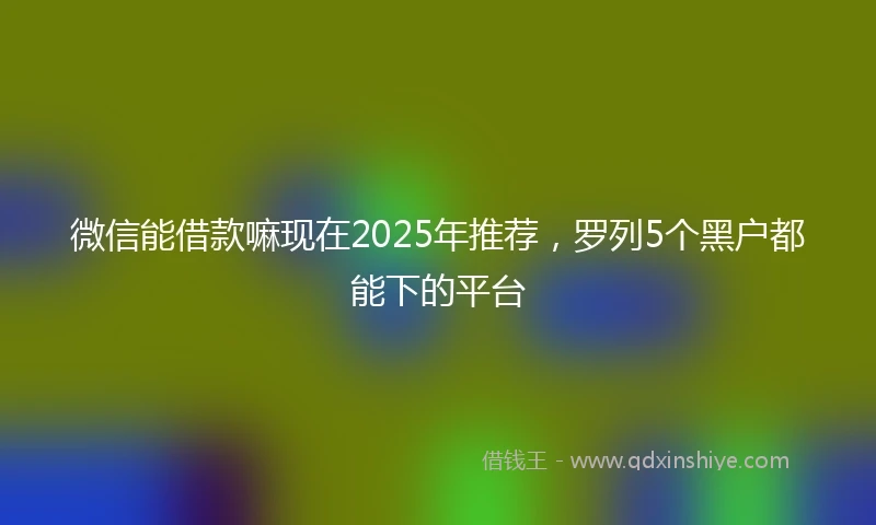 微信能借款嘛现在2025年推荐，罗列5个黑户都能下的平台