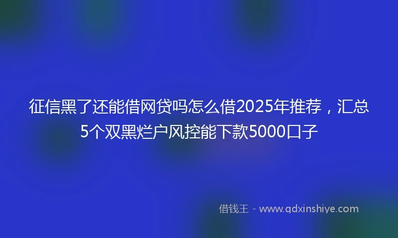 征信黑了还能借网贷吗怎么借2025年推荐，汇总5个双黑烂户风控能下款5000口子