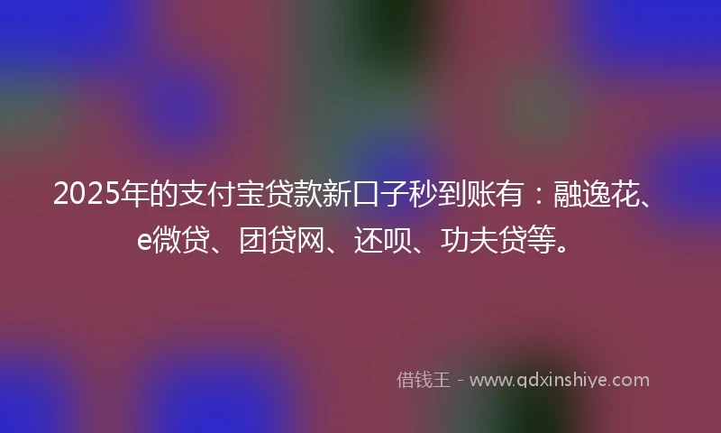 2025年的支付宝贷款新口子秒到账有：融逸花、e微贷、团贷网、还呗、功夫贷等。