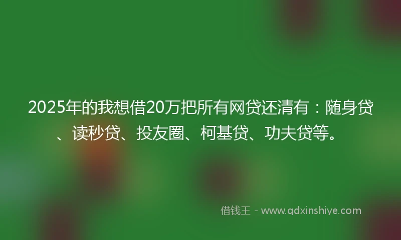 2025年的我想借20万把所有网贷还清有：随身贷、读秒贷、投友圈、柯基贷、功夫贷等。
