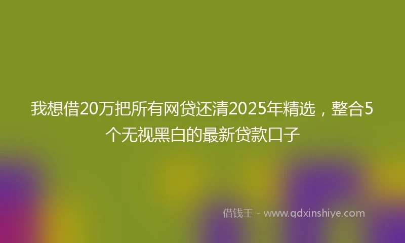 我想借20万把所有网贷还清2025年精选，整合5个无视黑白的最新贷款口子