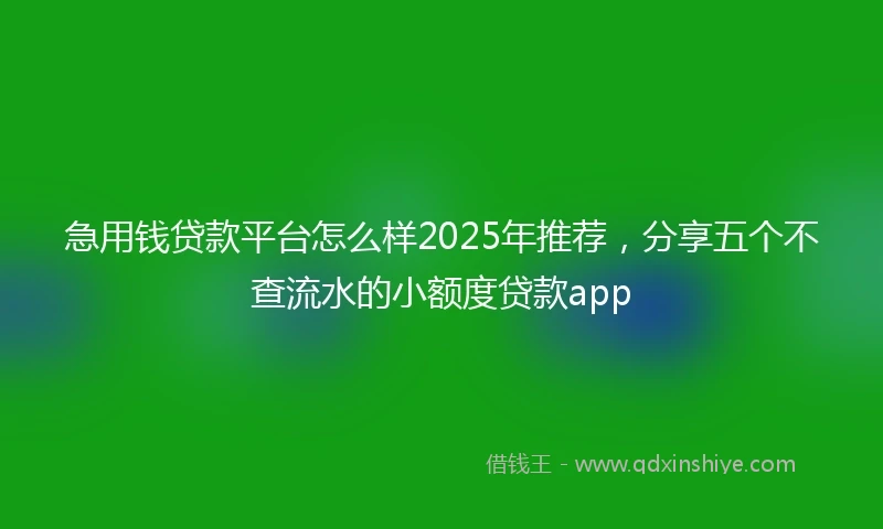 急用钱贷款平台怎么样2025年推荐，分享五个不查流水的小额度贷款app