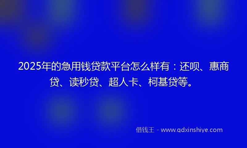 2025年的急用钱贷款平台怎么样有：还呗、惠商贷、读秒贷、超人卡、柯基贷等。
