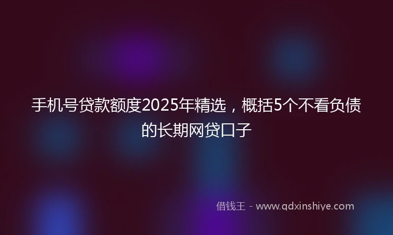 手机号贷款额度2025年精选，概括5个不看负债的长期网贷口子