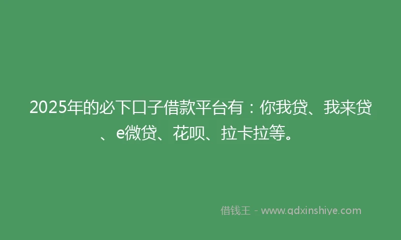 2025年的必下口子借款平台有：你我贷、我来贷、e微贷、花呗、拉卡拉等。