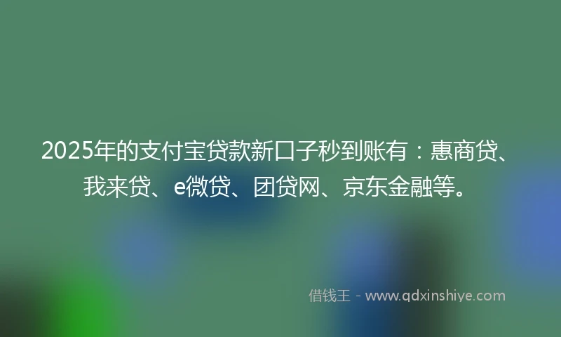 2025年的支付宝贷款新口子秒到账有：惠商贷、我来贷、e微贷、团贷网、京东金融等。