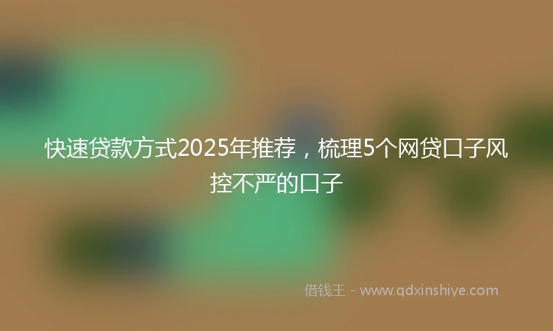 快速贷款方式2025年推荐，梳理5个网贷口子风控不严的口子