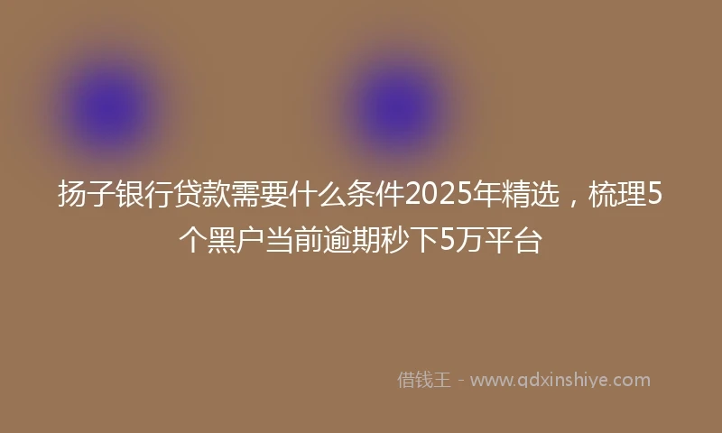 扬子银行贷款需要什么条件2025年精选，梳理5个黑户当前逾期秒下5万平台
