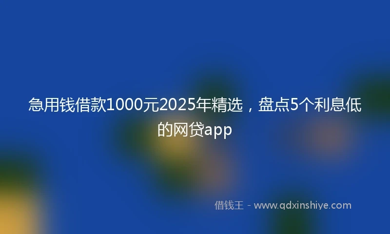 急用钱借款1000元2025年精选，盘点5个利息低的网贷app