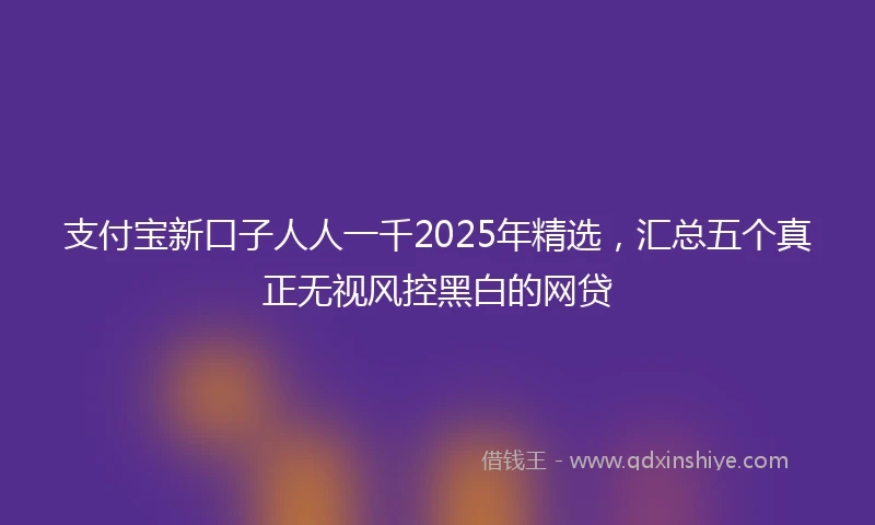 支付宝新口子人人一千2025年精选,汇总五个真正无视风控黑白的网贷