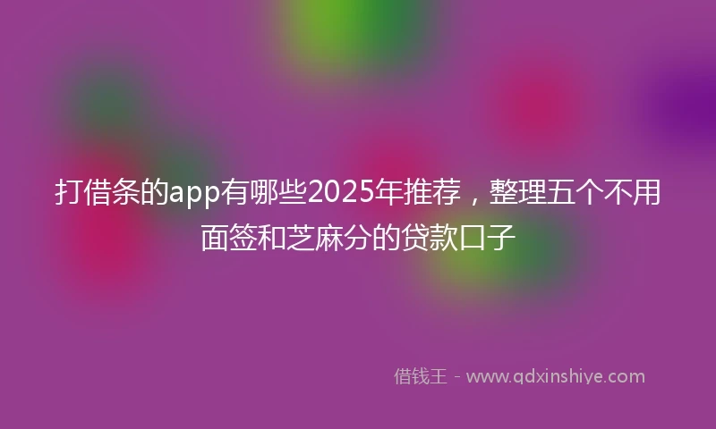 打借条的app有哪些2025年推荐，整理五个不用面签和芝麻分的贷款口子