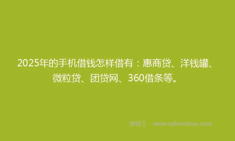 2025年的手机借钱怎样借有：惠商贷、洋钱罐、微粒贷、团贷网、360借条等。