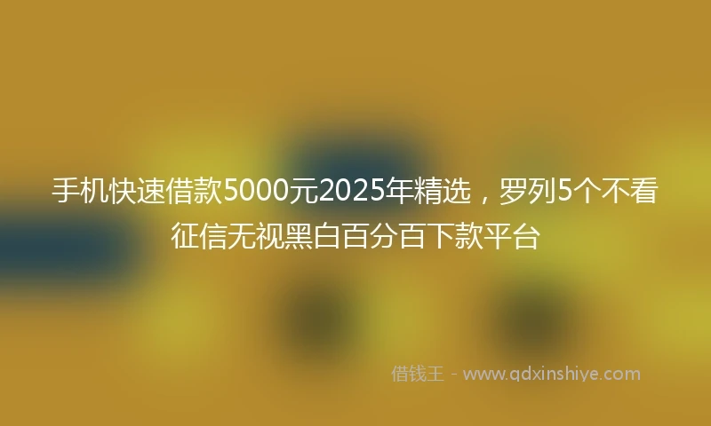 手机快速借款5000元2025年精选，罗列5个不看征信无视黑白百分百下款平台