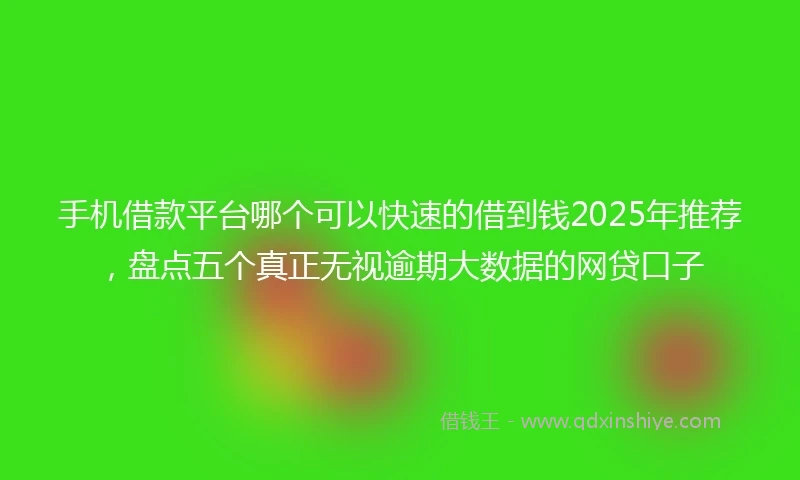 手机借款平台哪个可以快速的借到钱2025年推荐，盘点五个真正无视逾期大数据的网贷口子