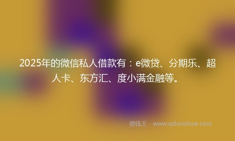2025年的微信私人借款有：e微贷、分期乐、超人卡、东方汇、度小满金融等。