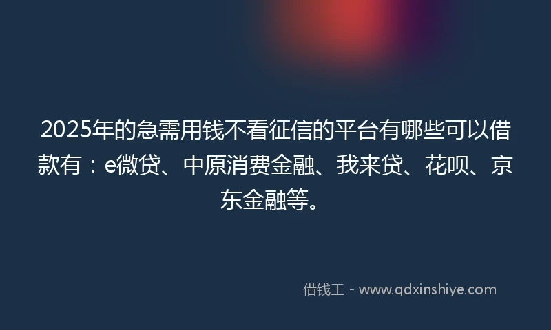 2025年的急需用钱不看征信的平台有哪些可以借款有：e微贷、中原消费金融、我来贷、花呗、京东金融等。