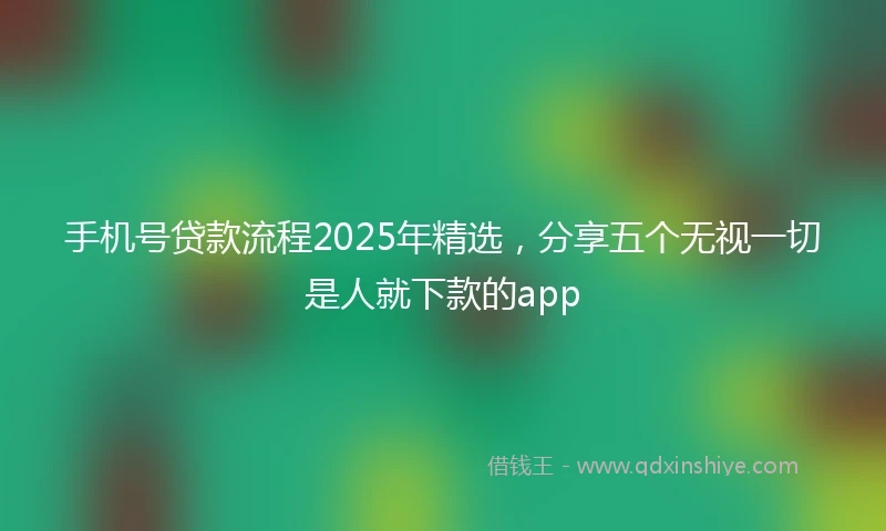 手机号贷款流程2025年精选，分享五个无视一切是人就下款的app