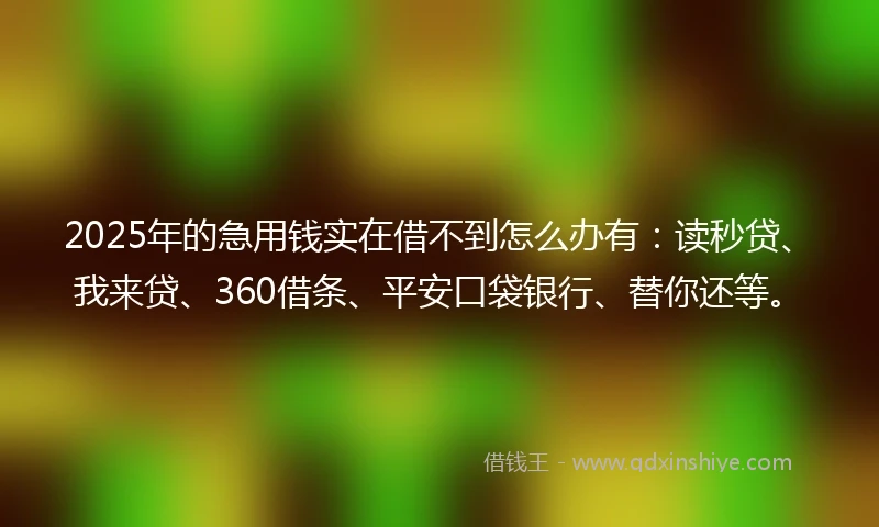 2025年的急用钱实在借不到怎么办有：读秒贷、我来贷、360借条、平安口袋银行、替你还等。