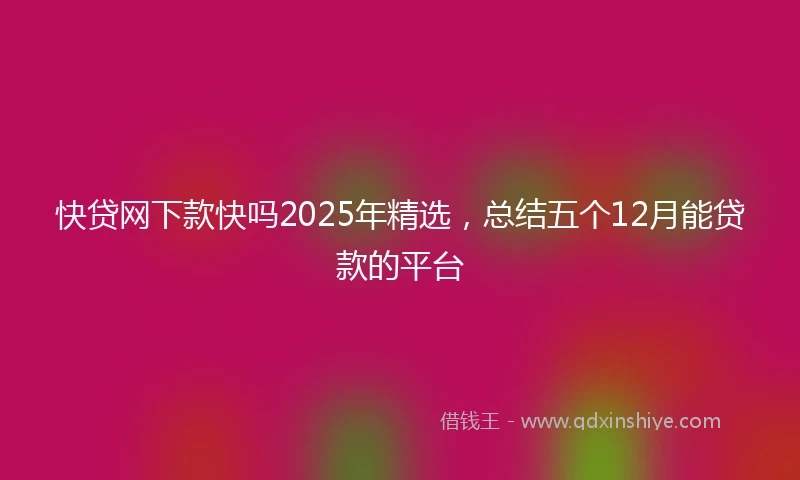 快贷网下款快吗2025年精选，总结五个12月能贷款的平台
