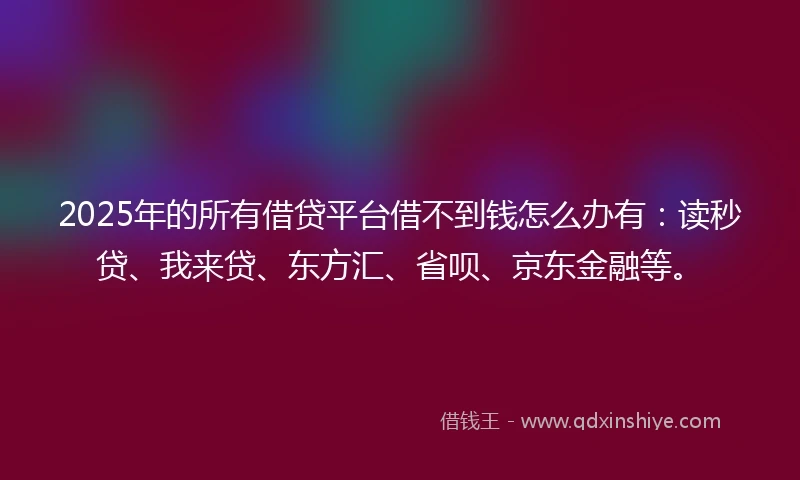 2025年的所有借贷平台借不到钱怎么办有：读秒贷、我来贷、东方汇、省呗、京东金融等。