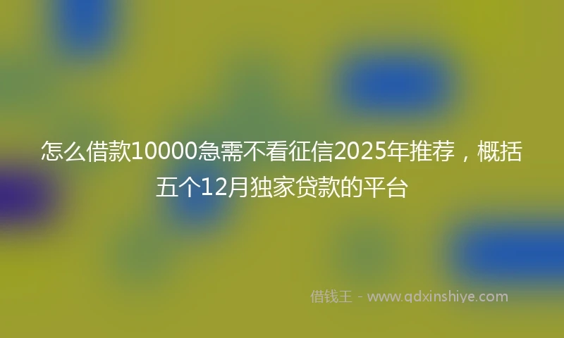 怎么借款10000急需不看征信2025年推荐，概括五个12月独家贷款的平台