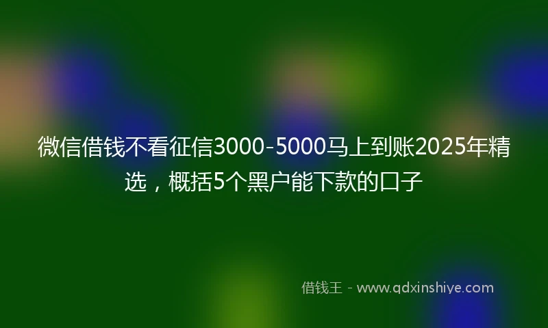 微信借钱不看征信3000-5000马上到账2025年精选，概括5个黑户能下款的口子