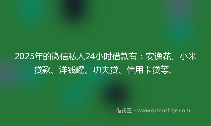 2025年的微信私人24小时借款有：安逸花、小米贷款、洋钱罐、功夫贷、信用卡贷等。