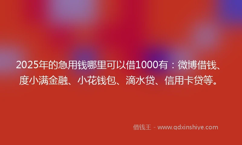 2025年的急用钱哪里可以借1000有：微博借钱、度小满金融、小花钱包、滴水贷、信用卡贷等。