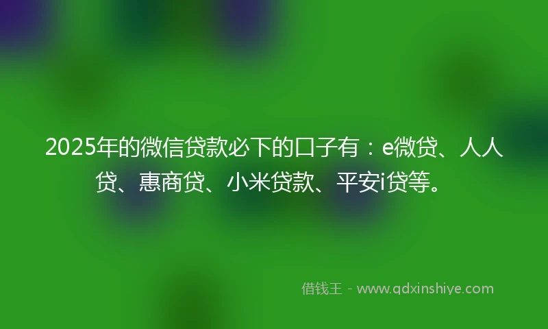 2025年的微信贷款必下的口子有：e微贷、人人贷、惠商贷、小米贷款、平安i贷等。